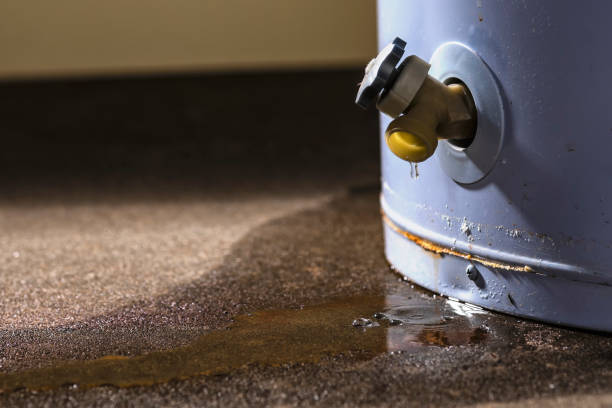 Carpet water damage restoration in Central Islip, NY