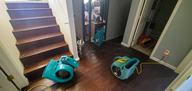 Best Water damage restoration near me  in Central Islip, NY