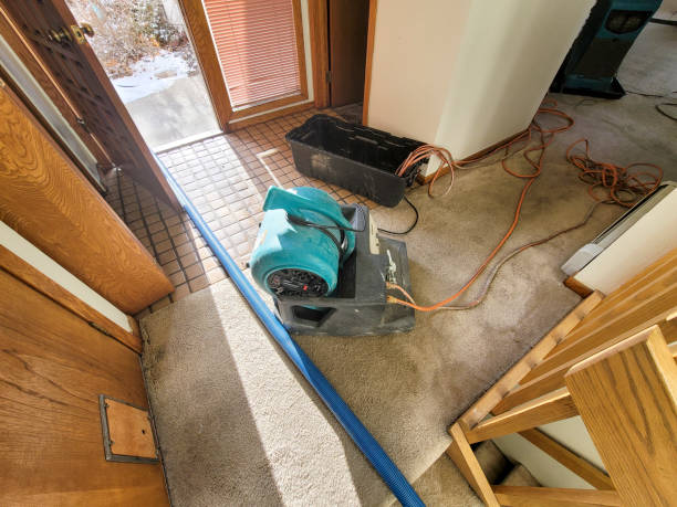 Water damage restoration experts in Central Islip, NY
