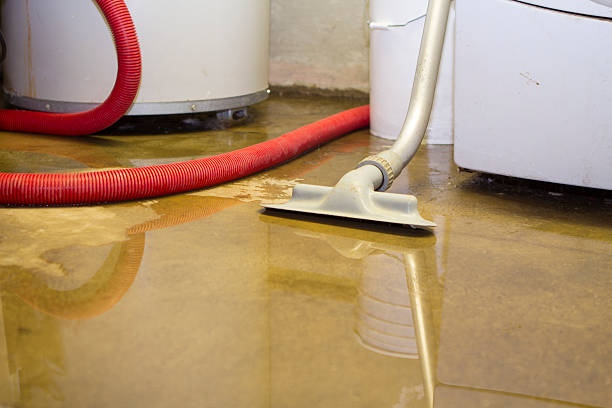 Best Ceiling water damage repair  in Central Islip, NY