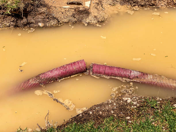 Best Carpet water damage restoration  in Central Islip, NY